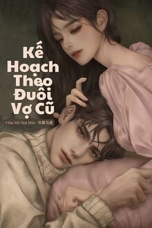 Kế Hoạch Theo Đuổi Vợ Cũ