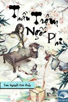 Thần Trộm Ngốc Phi [C]