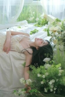 Câu Trả Lời Là Nước Mắt