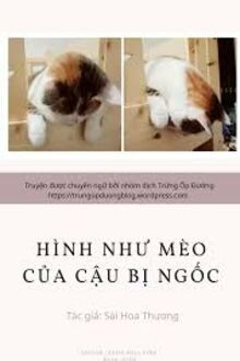Hình Như Mèo Của Cậu Bị Ngốc