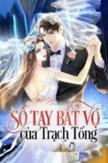 Sổ Tay Bắt Vợ Của Trạch Tổng