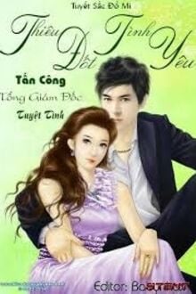 Thiêu Đốt Tình Yêu: Tấn Công Tổng Giám Đốc Tuyệt Tình