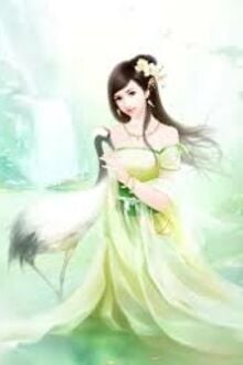 Vương Phi Cường Hãn