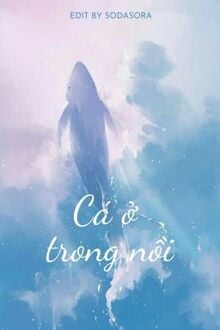 Cá Ở Trong Nồi