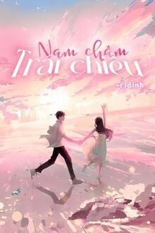 Nam Châm Trái Chiều