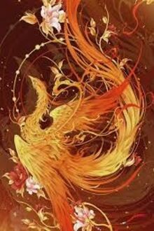 Mỗi Ngày Kim Ô Đều Bận Rộn