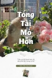 Tổng Tài Mỏ Hỗn