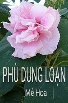 Phù Dung Loạn