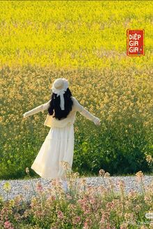 Hôn Nhân Kiểu Sòng Phẳng
