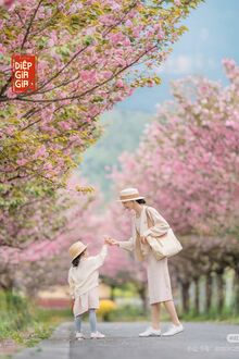 Lần Này Đến Lượt Con Bảo Vệ Mẹ!
