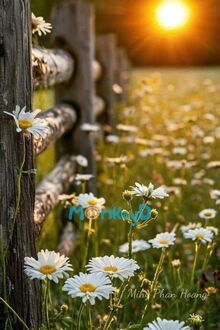 Nguyệt Mãn Vân Hưu