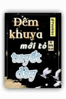 Đêm Khuya Mới Tỏ Tuyết Dày
