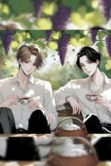 Tặc Thước - Tây Lộc Hoàn