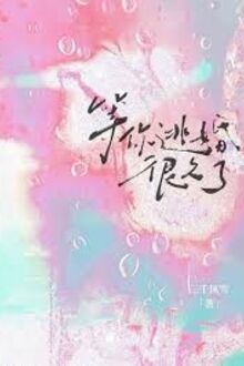 Chờ Em Hủy Hôn Rất Lâu Rồi