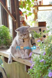 Ta Xuyên Vào Một Cuốn Tiểu Thuyết Ngược Luyến Cổ Hủ