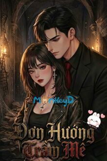 Đơn Hướng Trầm Mê