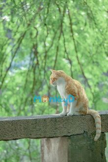 Sau Khi Trọng Sinh, Ta Chỉ Muốn Tu Luyện Thật Tốt