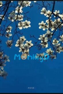Hoá Ra Cậu Ấy Cũng Thích Tôi