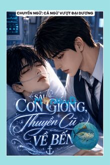 Sau Cơn Giông, Thuyền Cũ Về Bến