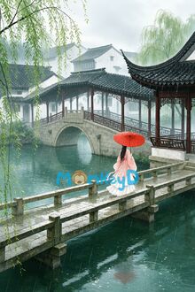 Tuyết Cũ Chiếu Hồng Mai